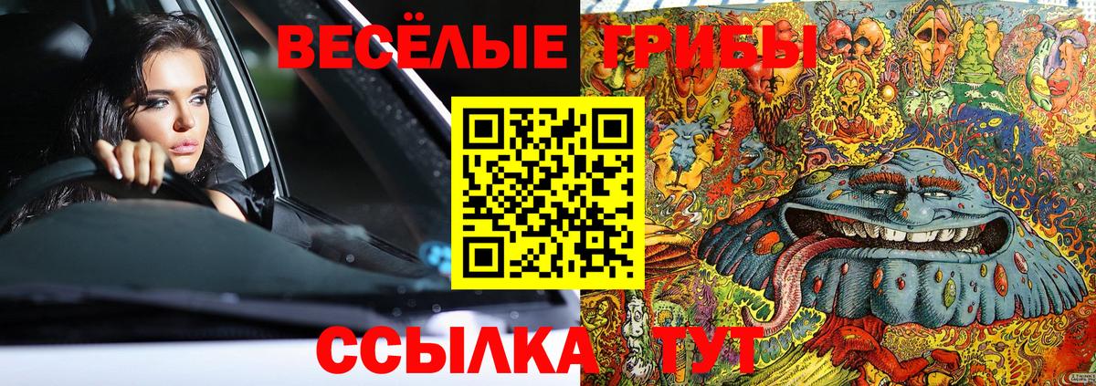 Вологда  Галлюциногенные грибы Cubensis  Вход с VPN 